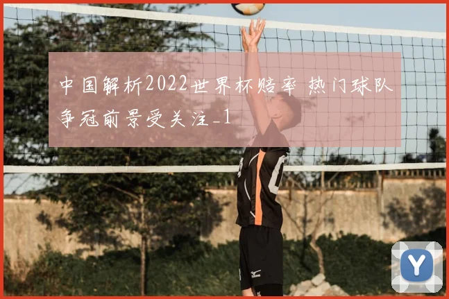 中国解析2022世界杯赔率 热门球队争冠前景受关注_1